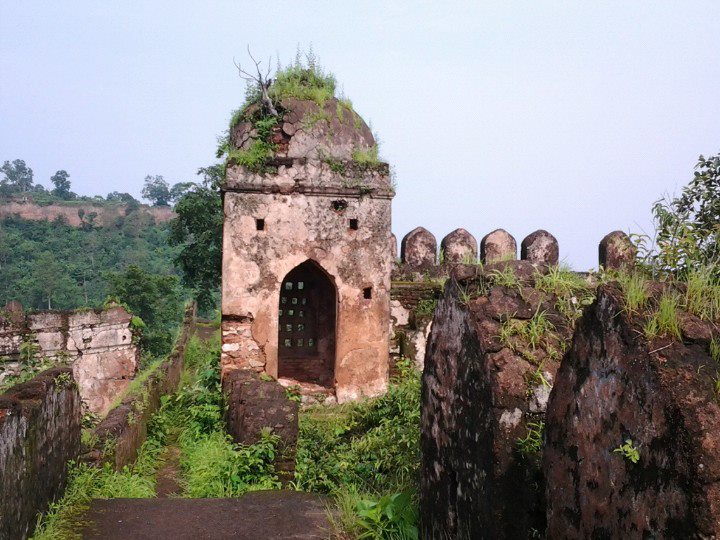 Tribal Culture